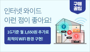 GiGA Wi ͳ ̷  ƿ! 1G  1,650 ߰  WiFi ȯ !